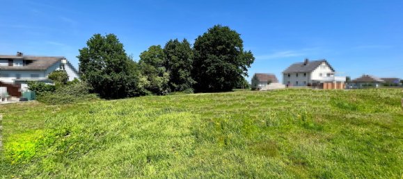 Grundstück in Lippe, Germany, Nr. 161074 2