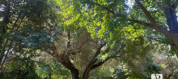 Villa de 9 dormitorios en Capaccio Paestum, Italy No. 379480 24