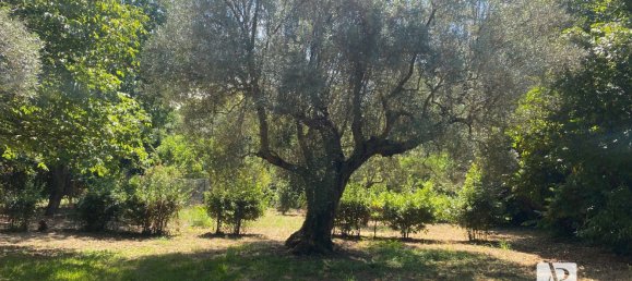 Villa de 9 dormitorios en Capaccio Paestum, Italy No. 379480 23