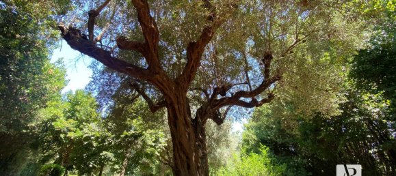 Villa de 9 dormitorios en Capaccio Paestum, Italy No. 379480 35