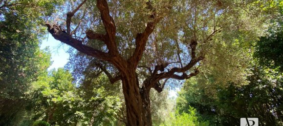 Villa de 9 dormitorios en Capaccio Paestum, Italy No. 379480 34