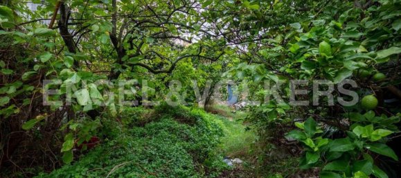 1153m² Land in Lisbon, Portugal No. 76458 5