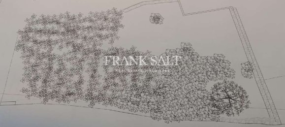 Propiedad comercial en Pieta, Malta 124 m² No. 13369 9