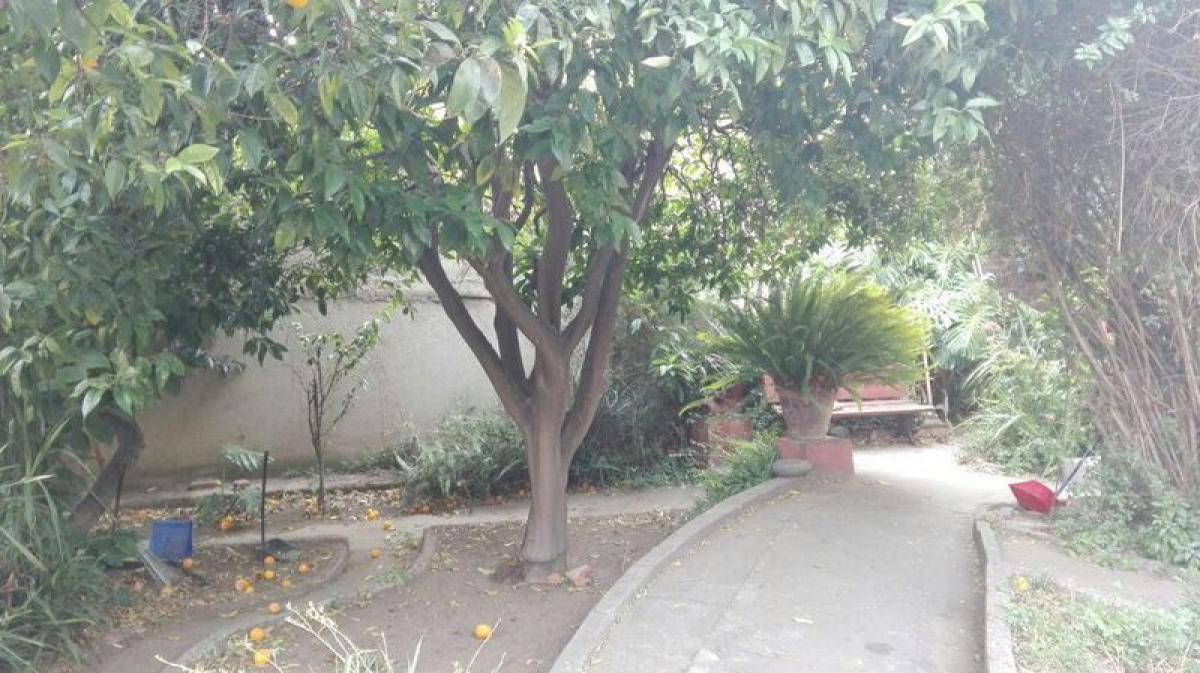 7 chambres Maison à Valparaiso, Chile No. 5103