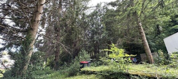 3-Zimmer Grundstück in Heiligenkreuz, Austria, Nr. 256544 6