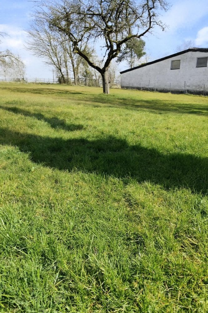  Land in Neuwied, Germany No. 306075