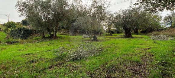 2 غرف نوم منزل في Redinha, Portugal رقم 28501 7