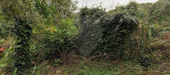 2 غرف نوم منزل في Redinha, Portugal رقم 28501 12