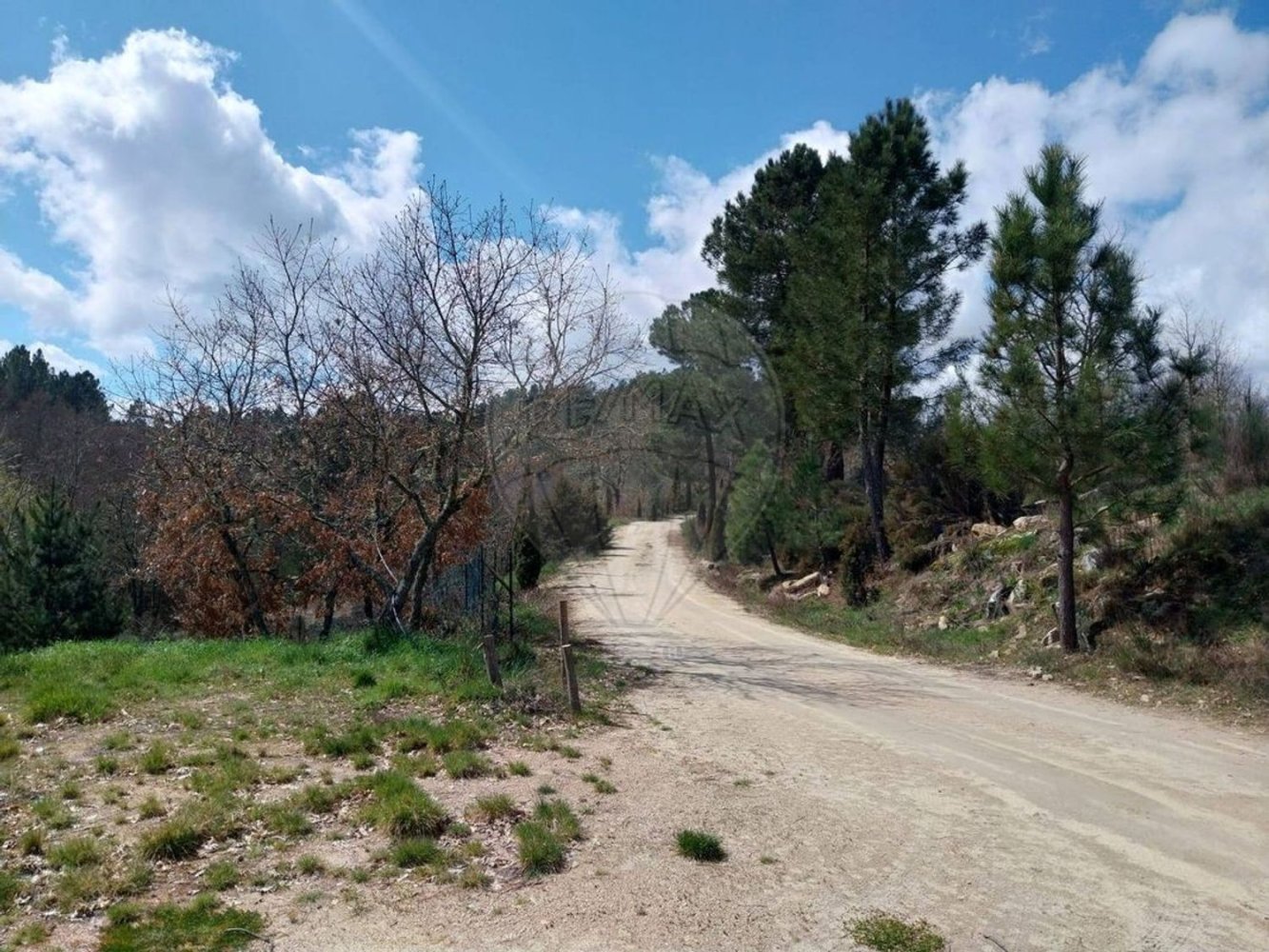  قطعة أرض في Meda, Portugal رقم 195168
