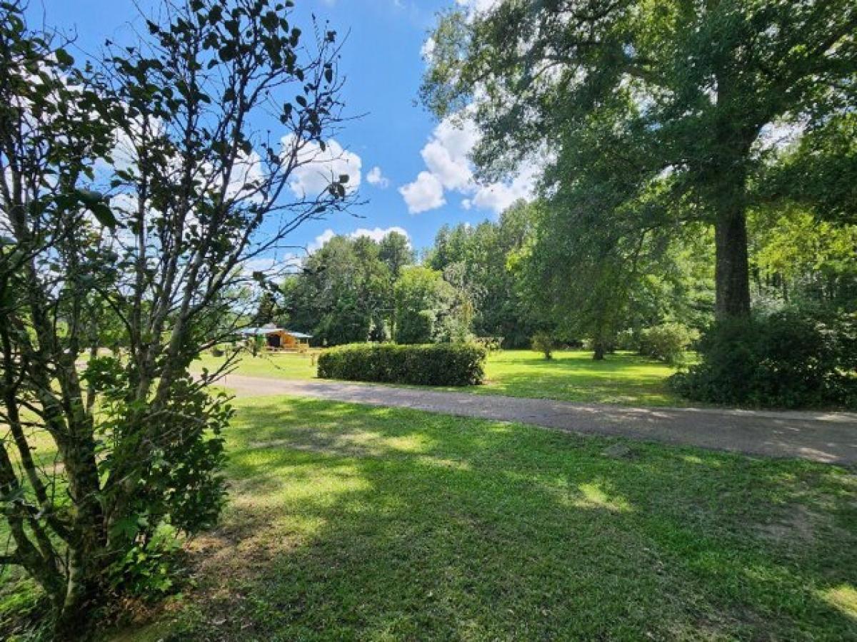 3 bedrooms House in Tylertown, USA No. 405232