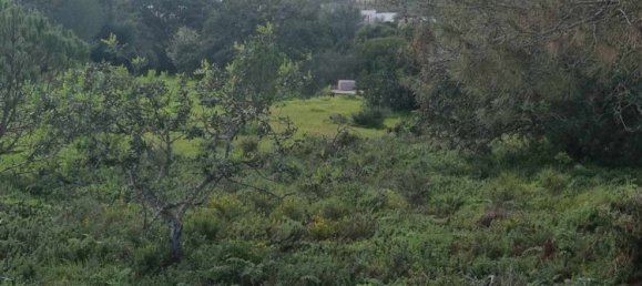 Terrain à Lagoa, Portugal No. 136318 7