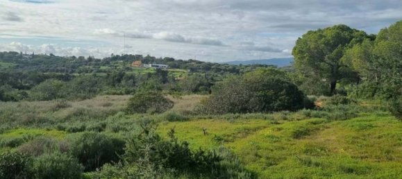 Terrain à Lagoa, Portugal No. 136318 3
