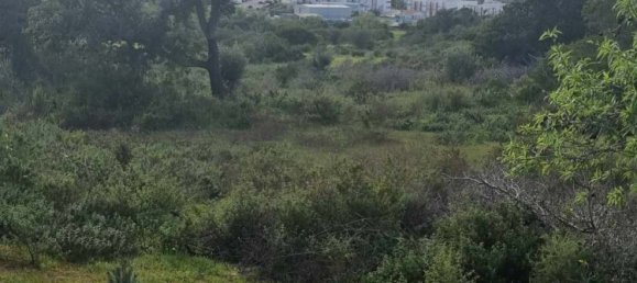 Terrain à Lagoa, Portugal No. 136318 2