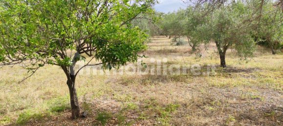 Terreno en Montelepre, Italy 4968 m² No. 335090 5