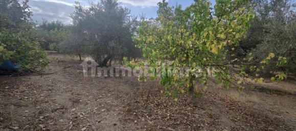 Terreno en Montelepre, Italy 4968 m² No. 335090 7