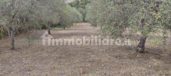 Terreno en Montelepre, Italy 4968 m² No. 335090 6