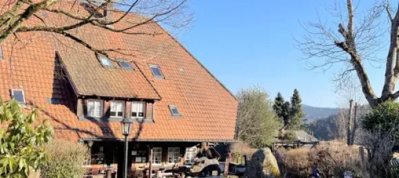 Hotel de 17 habitaciónes en Lorrach, Germany No. 27390 2