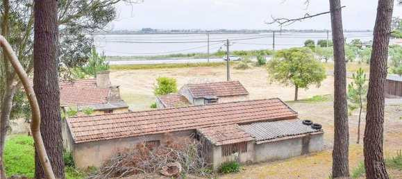 Grundstück in Torreira, Portugal 5159m², Nr. 74512 25