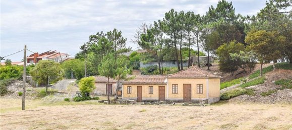 Grundstück in Torreira, Portugal 5159m², Nr. 74512 21