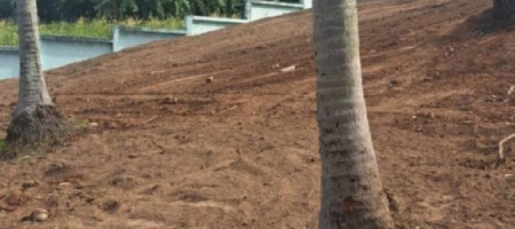 Terreno em Ko Samui, Thailand N.º 58456 2