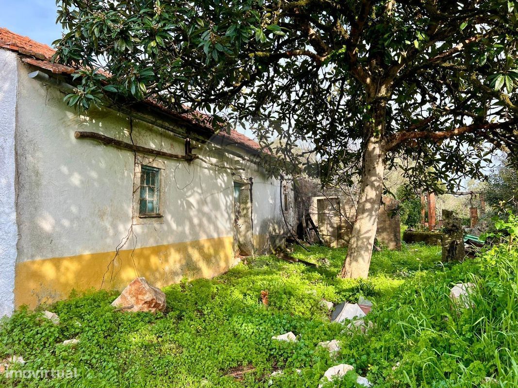 3 chambres Maison à Abiul, Portugal No. 16556