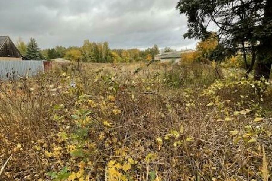 Terreno em Oberhavel, Germany N.º 65039