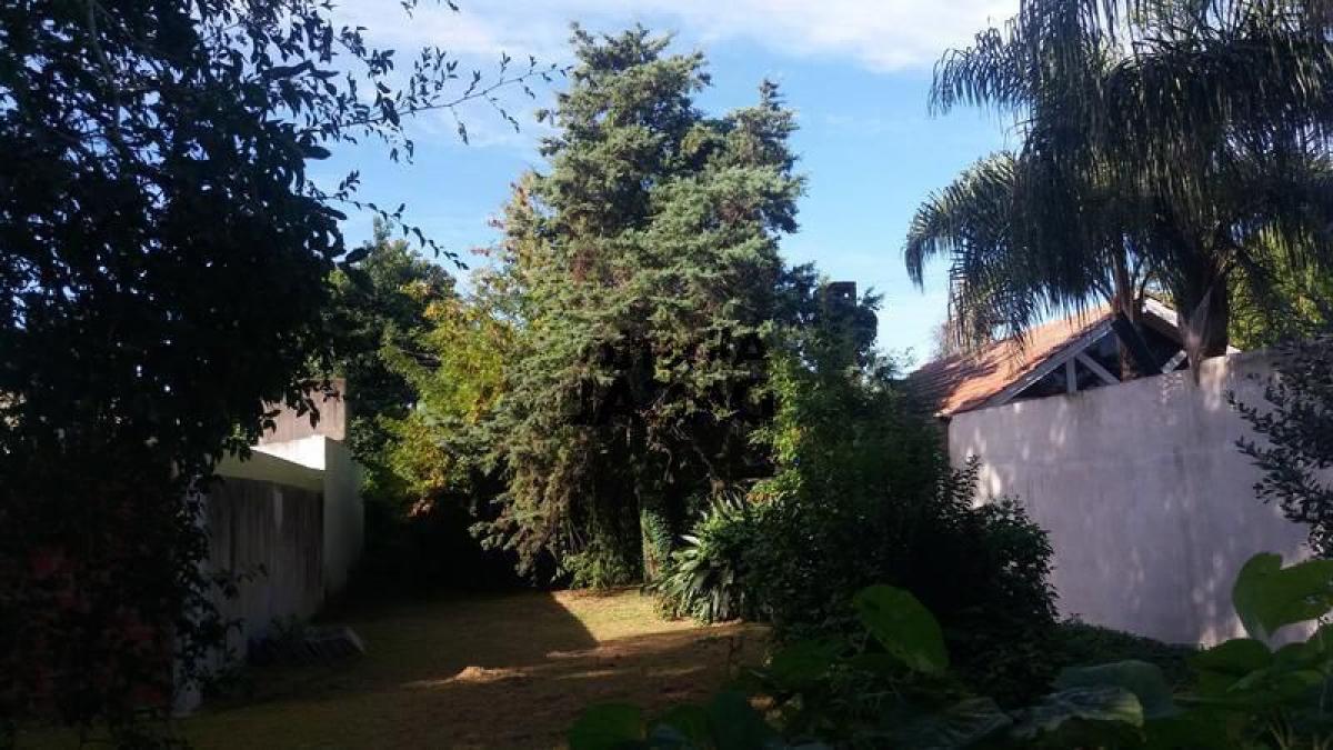  Land in Campo Creado, Argentina No. 36138