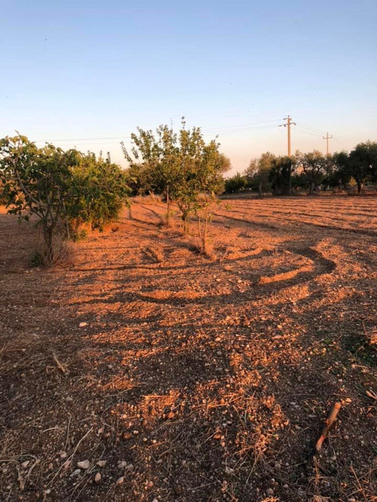 7000m² Land in Bari, Italy No. 254648