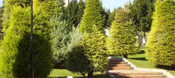 123m² Office in Alzira, Spain No. 95871 5