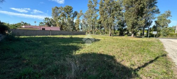 4غرفة منزل في Cisterna di Latina, Italy رقم 86788 10