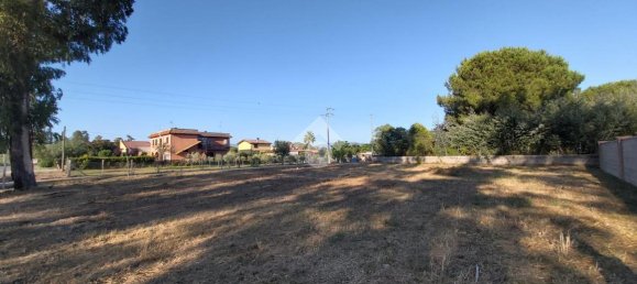 4غرفة منزل في Cisterna di Latina, Italy رقم 86788 13