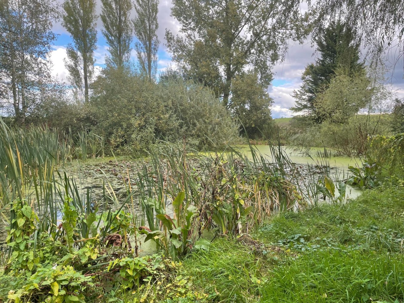  قطعة أرض في Mangiennes, France 10323متر مربع رقم 232841