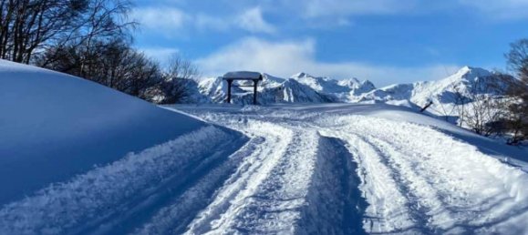 1 chambre Appartement à Montaldo di Mondovì, Italy No. 320284 14