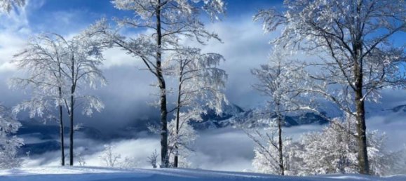 1 chambre Appartement à Montaldo di Mondovì, Italy No. 320284 13