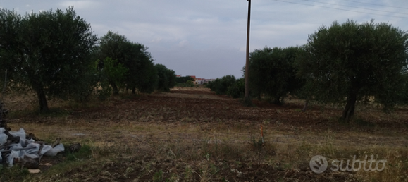 Земельный участок 39000м² в Пистиччи, Италия № 291231 3