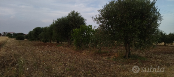 Земельный участок 39000м² в Пистиччи, Италия № 291231 2