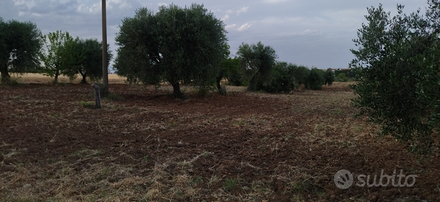 Земельный участок 39000м² в Пистиччи, Италия № 291231