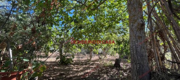 1 bedroom Villa in Baucina, Italy No. 304963 11