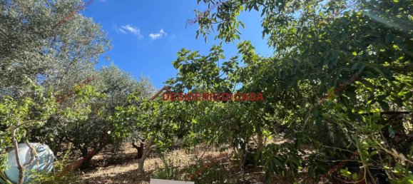 1 bedroom Villa in Baucina, Italy No. 304963 10