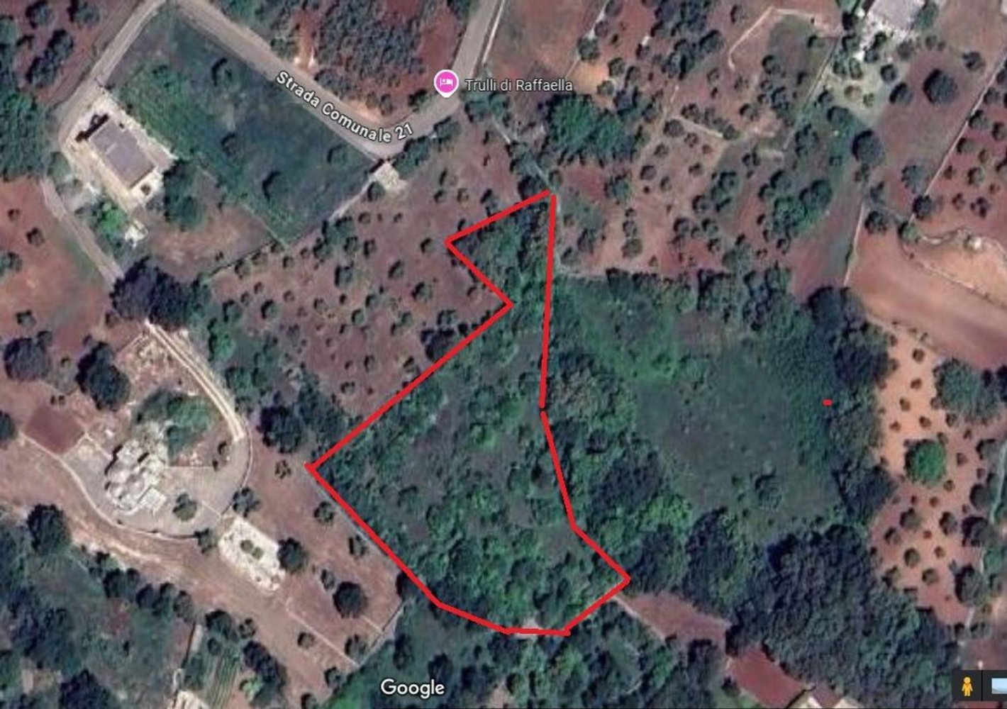  قطعة أرض في Locorotondo, Italy 4300متر مربع رقم 132230