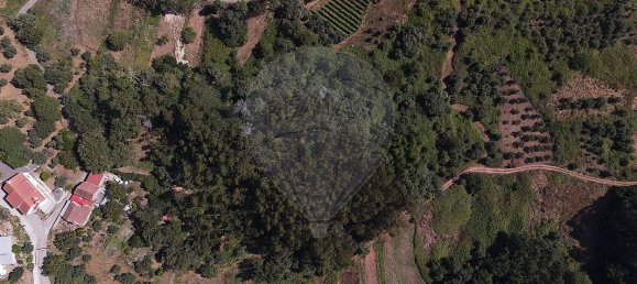 3 غرف نوم منزل في Alvaiazere, Portugal رقم 20714 16