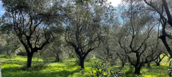 Villa T9 em Albano Laziale, Italy N.º 136131 4