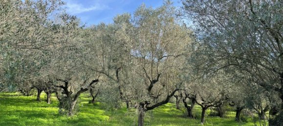 Villa T9 em Albano Laziale, Italy N.º 136131 3