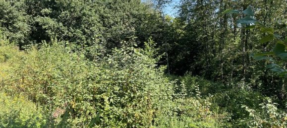  قطعة أرض في Altenkirchen, Germany 1800متر مربع رقم 135410 5