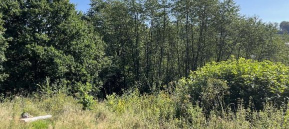  قطعة أرض في Altenkirchen, Germany 1800متر مربع رقم 135410 3