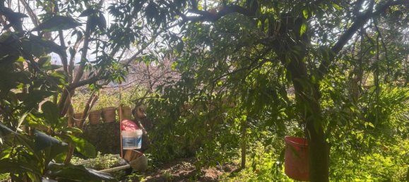 5 rooms Building in San Giuseppe Vesuviano, Italy No. 285862 30