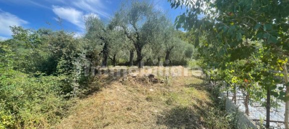 Grundstück in Villanova d'Albenga, Italy 1100m², Nr. 260087 6