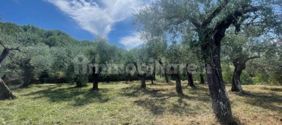 Grundstück in Villanova d'Albenga, Italy 1100m², Nr. 260087 11