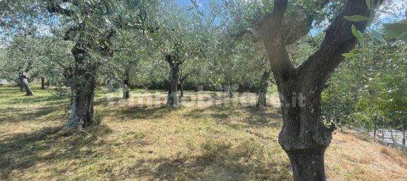 Grundstück in Villanova d'Albenga, Italy 1100m², Nr. 260087 7