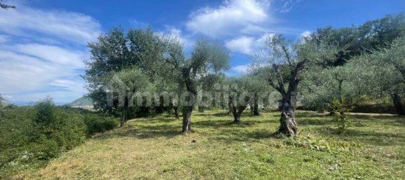 Grundstück in Villanova d'Albenga, Italy 1100m², Nr. 260087 9